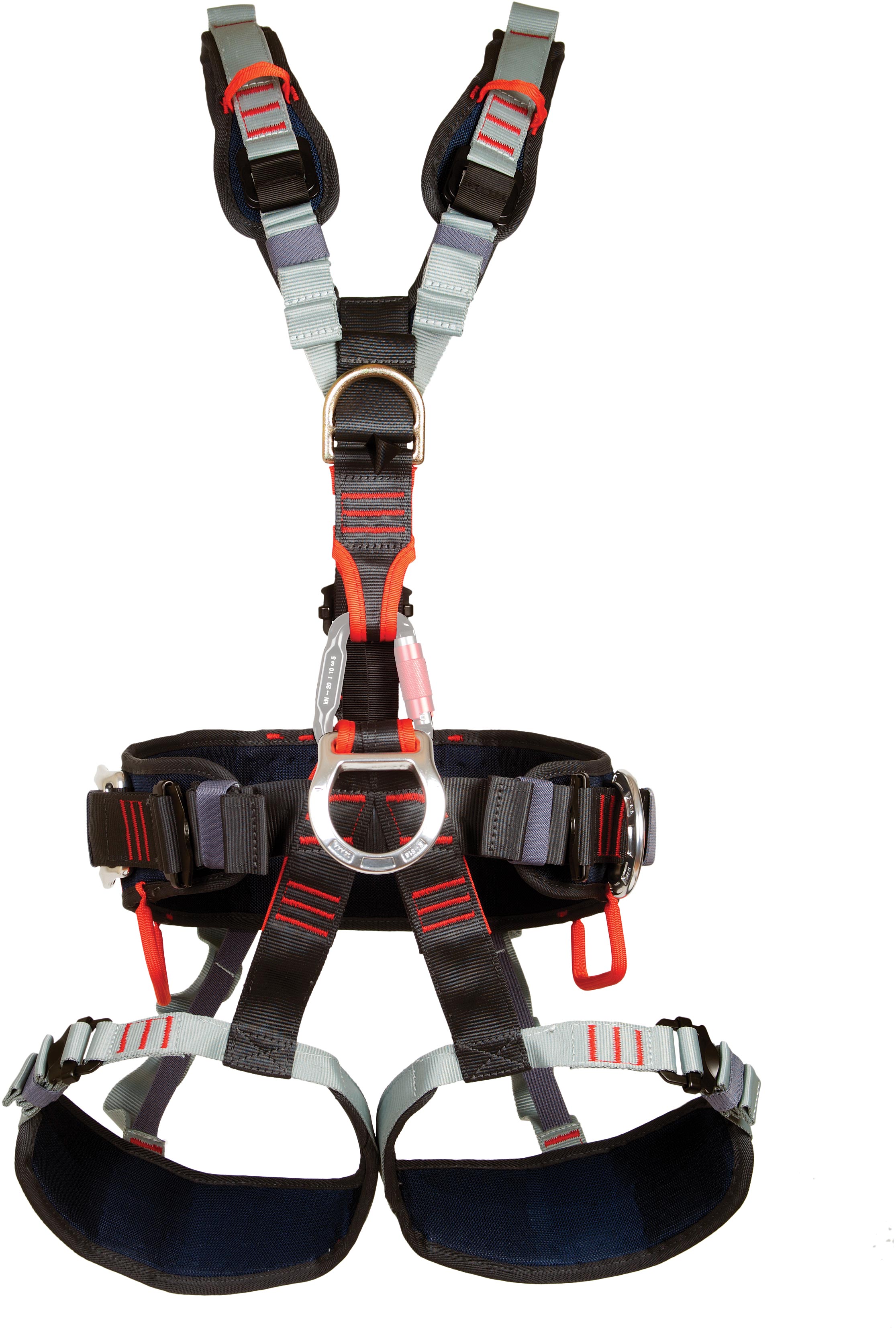 EDELWEISS--Harness_HARN0472
