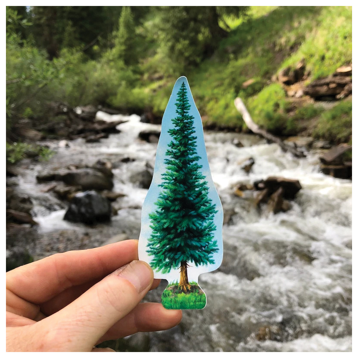 STICKER-ART--Sticker-Decal_STDC0483